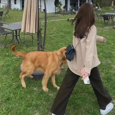 终极仇杀